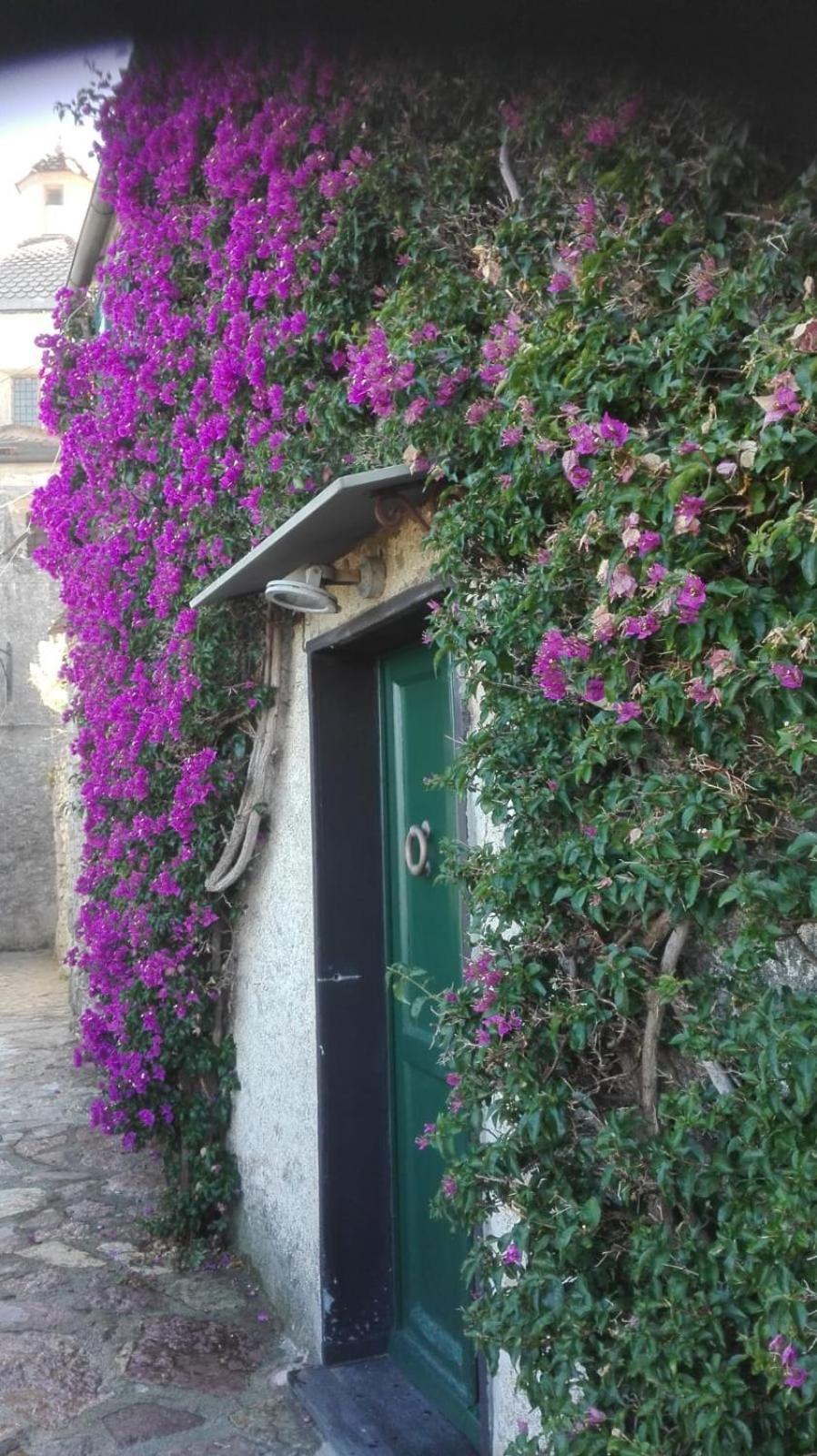 La Bouganvilla Porto Venere Eksteriør bilde